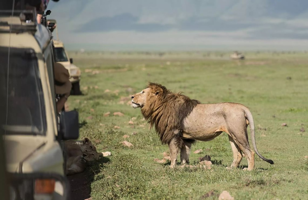 15 Days Best of Rwanda Safari 